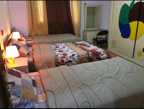 Private Family Apartment in Dokki