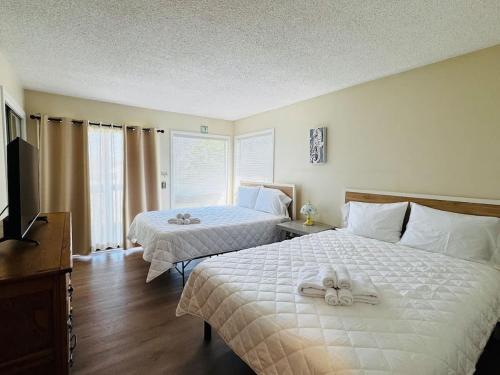 a hotel room with two beds and a flat screen tv at Bay Tree great 1BR apartment in Stephens Crossroads