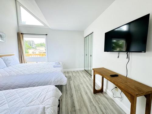 TV a/nebo společenská místnost v ubytování Bay Tree beautiful 1BR apartment