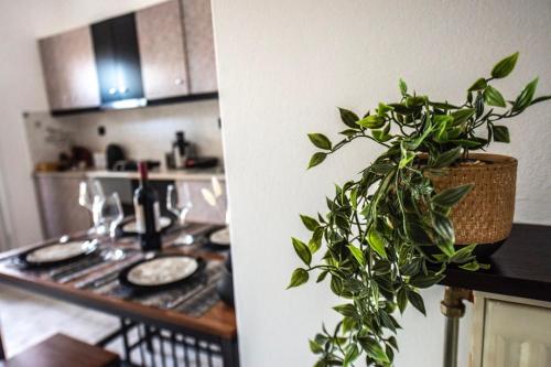 Φωτογραφία από το άλμπουμ του Ionian Luxury Apartments στο Πέραμα