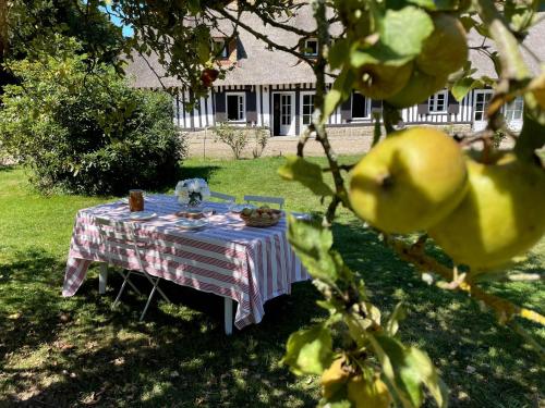 a picnic table in the yard of a house at Clos de Leger in Pleine-sève