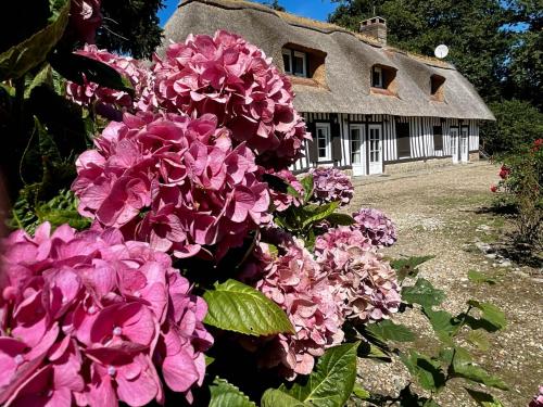 a bunch of pink flowers in front of a thatched house at Clos de Leger in Pleine-sève