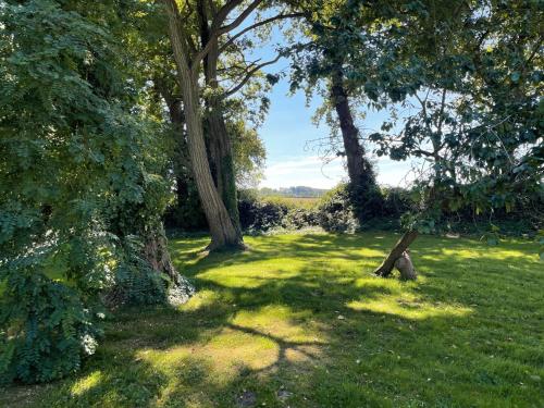 a field of grass with trees in the shade at Clos de Leger in Pleine-sève
