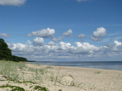 a beach with a cloudy sky and the water at Villa Moderna in Jūrmala