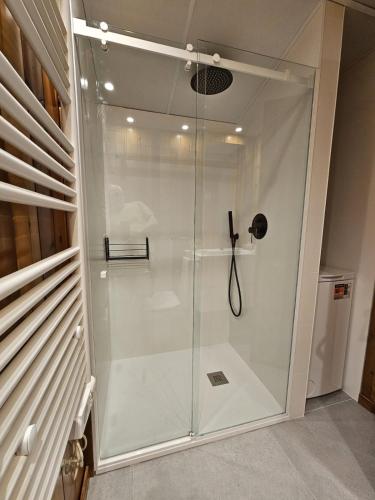 a shower with a glass door in a bathroom at Las casitas de mache - 5F in Cerler