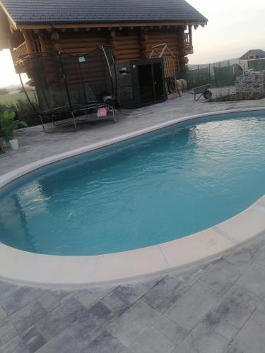 una grande piscina blu di fronte a una baita di CASA VIKI a Bănicel