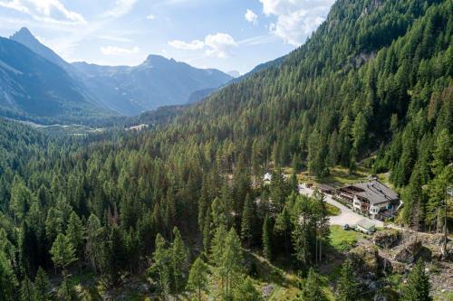 an aerial view of a forest with a house in the middle at Hotel Villetta Maria Cottage in Canazei