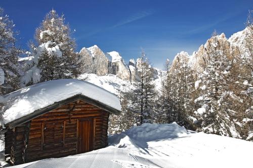 a wooden cabin covered in snow with trees and mountains at Hotel Villetta Maria Cottage in Canazei