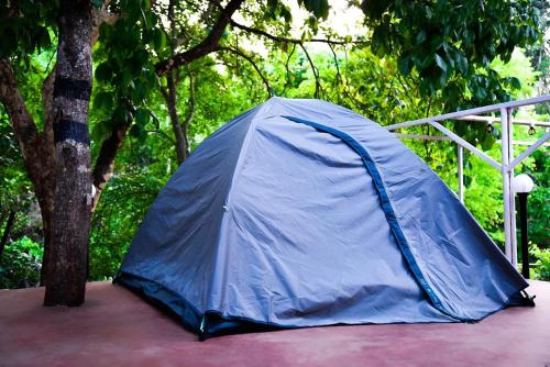 Zahrada ubytování Dandeli Green Adventure Resort