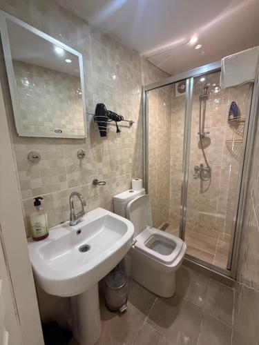 a bathroom with a sink and a toilet and a shower at Cihangir apart in Istanbul
