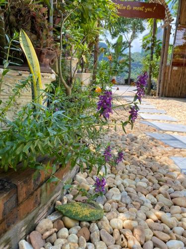 a garden with rocks and purple flowers and plants at TamCoc My Tho Homestay in Vũ Lâm