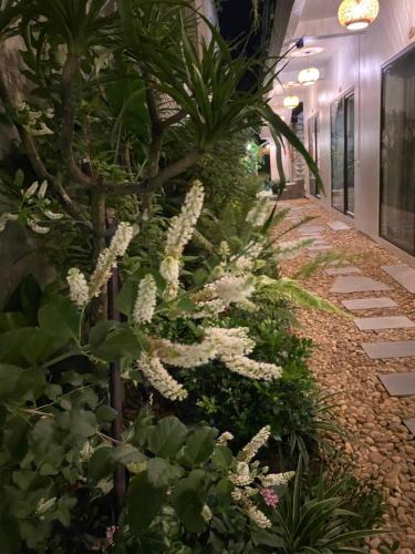 a garden with white flowers and plants next to a building at TamCoc My Tho Homestay in Vũ Lâm