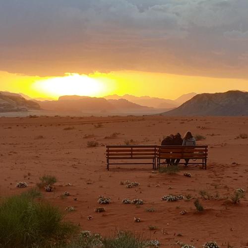 Real Bedouin Experience Tours & Camp