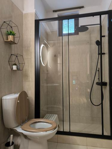 a bathroom with a toilet and a glass shower at Simple home in Kardítsa