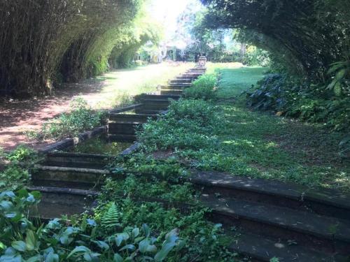 a row of wooden steps in a field with trees at The villa sunshine kadawala in Dunagaha