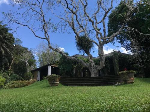 a house with a tree in the middle of a yard at The villa sunshine kadawala in Dunagaha