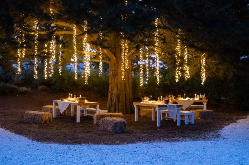 a group of tables under a tree with lights at Dimora Dei Semplici in Ostuni