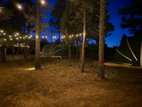 Κήπος έξω από το Rustic Winter Tent Stay in the Mountains