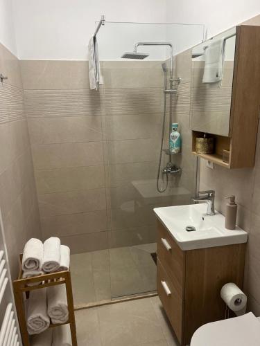 a bathroom with a shower and a sink at ARIS CENTRAL APARTAMENT 2 camere in Iaşi