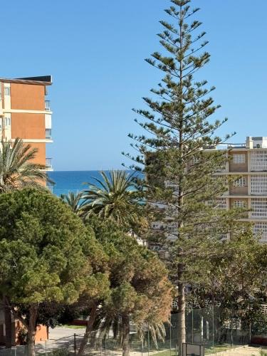 Apartamento Velázquez San Juan Playa