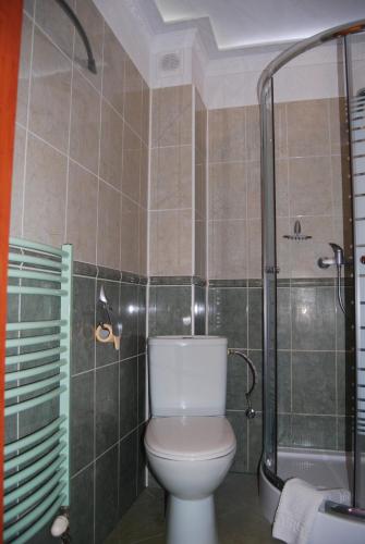 a bathroom with a toilet and a shower at Villa Europa in Mielno