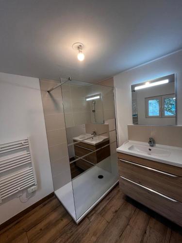 een badkamer met douche, wastafel en spiegel bij Maison cosy proche saint-leu et centre-ville in Amiens