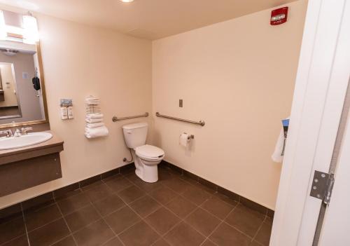 a bathroom with a toilet and a sink at Deer Lake Horizon Hotel in Deer Lake