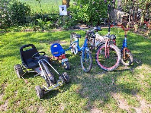 a group of bikes parked in the grass at Bie Oans Oefje in Lewedorp