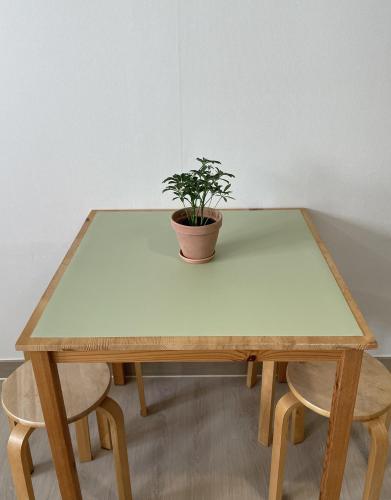 a table with a potted plant sitting on top of it at Danaharu Guesthouse in Jeonju