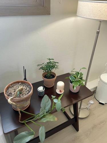 a table with potted plants on top of it at Danaharu Guesthouse in Jeonju