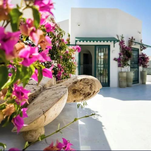 Gallery image of Luxurious Tunisian Holiday House with Full Access for Wheelchairs in Kasbah