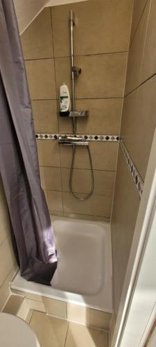 Koupelna v ubytování Kleines 1 Zimmer-Appartment