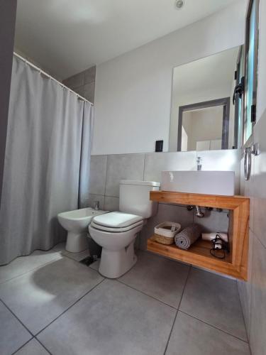 ein Badezimmer mit Toilette, Waschbecken und Spiegel in der Unterkunft Patio Jarilla in El Challao