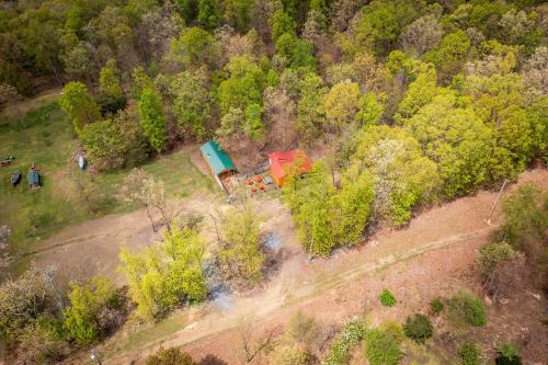 an overhead view of a forest with a group of trees at Timber Ridge Retreat in Morton Grove