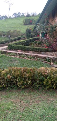 a garden with bushes and flowers in front of a house at Pau a Pique Chalé in Bocaina de Minas