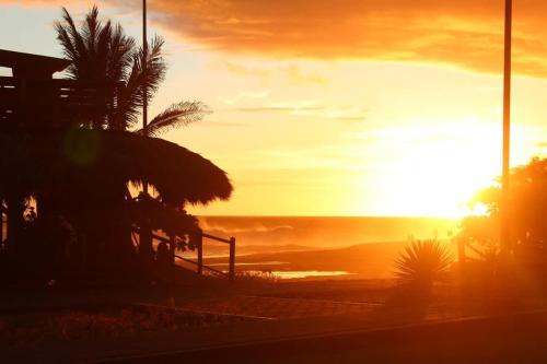 a sunset over the ocean with a palm tree at Espectacular Suite Frente a Playa Zicatela 1BDR in Brisas de Zicatela