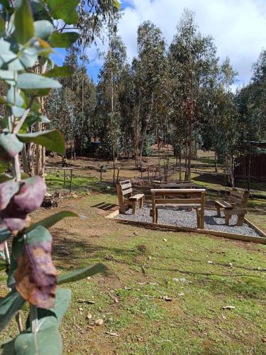 Сад в Hotel Estancia Don Domingo