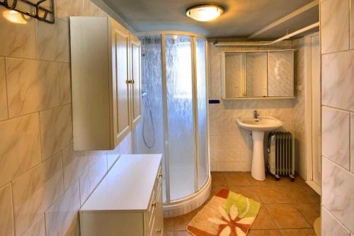 a bathroom with a shower and a sink at Penzion Nemílek in Kolinec