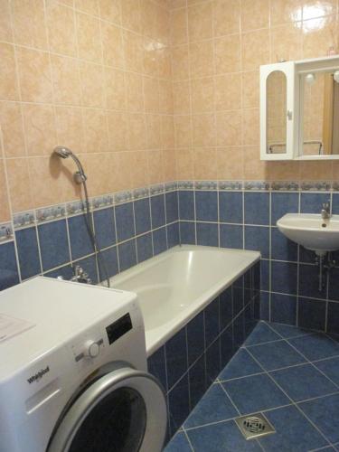 une salle de bains avec lave-linge et lavabo dans l'établissement Elizabet Apartman, à Szarvas