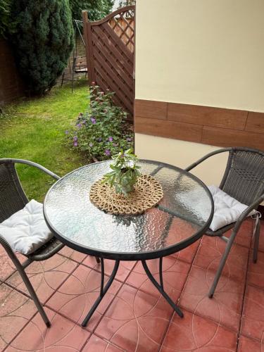 a glass table with a potted plant on a patio at Dom Gościnny Ania, Apartament nr 6 in Wisełka