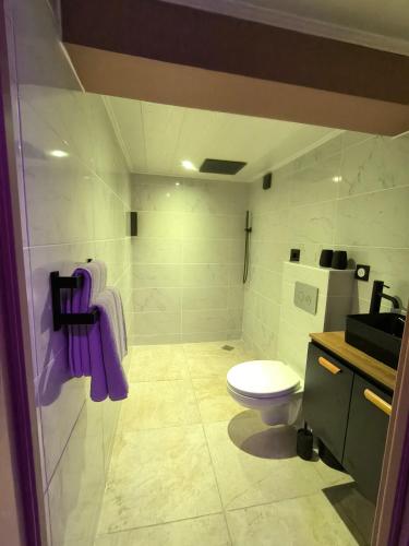 a bathroom with a toilet and a shower with purple towels at Chambre Romantique avec Spa Privé Intérieur in Rimons