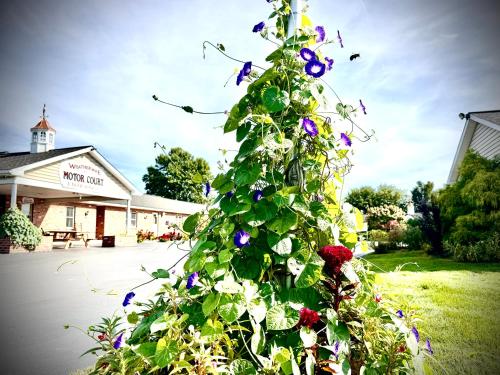 a christmas tree covered in flowers in front of a building at Weathervane Motor Court in Ronks