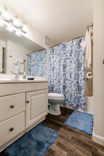 a bathroom with a toilet and a sink and a shower at Cozy Apt min to Mayo Beaches Free Wi-Fi Coffee Tea in Jacksonville