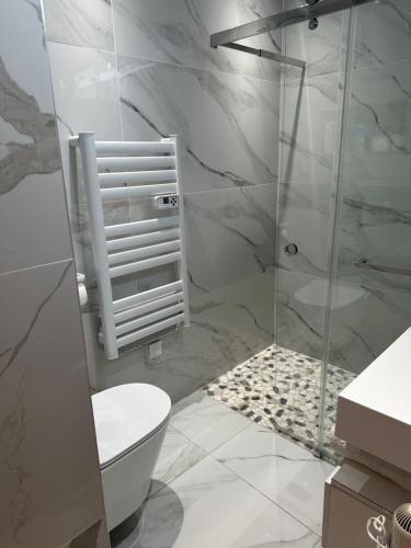 a bathroom with a toilet and a glass shower at Les 3 anges in Houilles