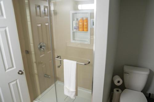 a bathroom with a toilet and a glass shower stall at Studio Apartment A - Full Kitchen - Cozy and Modern in Brampton