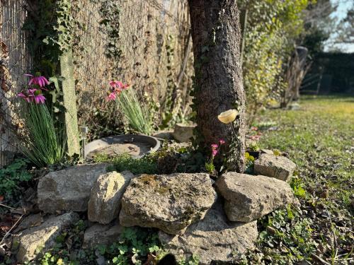 a rock garden with a tree and flowers at Juicy Private Apartments with Jacuzzi in Szentendre