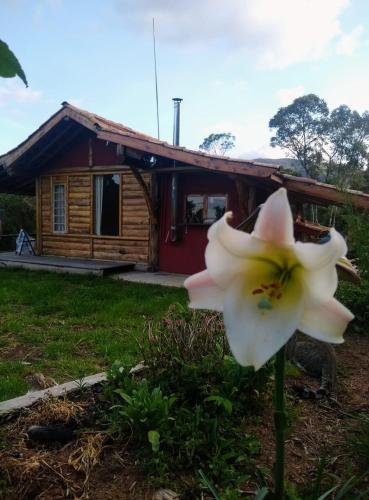 Κήπος έξω από το Refugio Semente, cabana no Vale Matutu