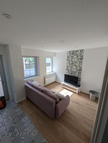 a living room with a couch and a fireplace at Le Triplex maison de ville rénovée in Wasselonne