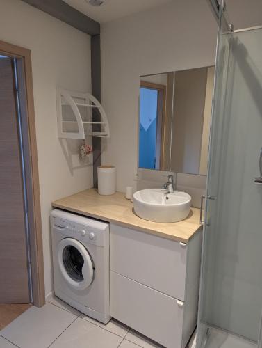 a bathroom with a washing machine and a sink at Le Triplex maison de ville rénovée in Wasselonne