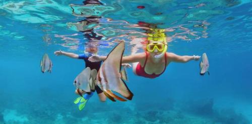 a person swimming in the water with a surfboard at On-the-beach JADE's BEACH VILLA 별장 Lapu-lapu Olango 별장 in Lapu Lapu City